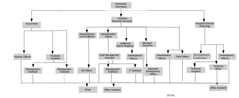 organization structure en
